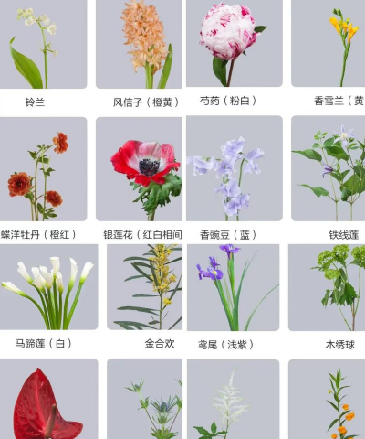 栽培的意思，核心概念，通俗理解