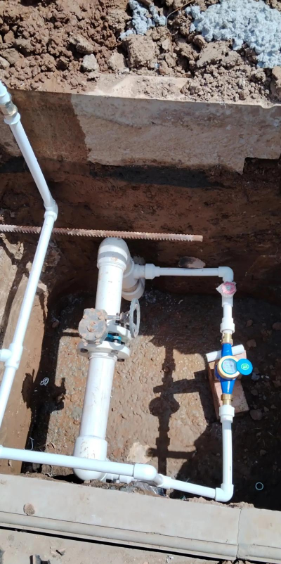 柿树虫病防治，识别常见虫害，掌握有效方法