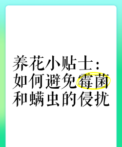 柿树虫病防治，识别常见虫害，掌握有效方法