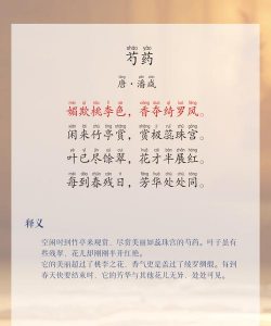 描写老婆养花的诗词