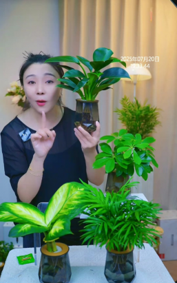 家庭养花用生根粉