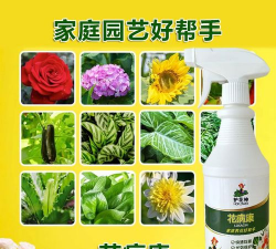 家庭养花用生根粉