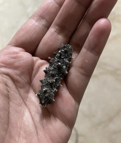 坏海参可以养花吗