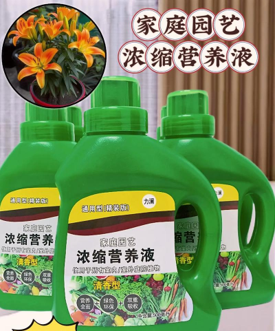 家庭养花用生根粉