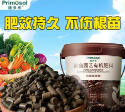 咖啡豆发酵养花