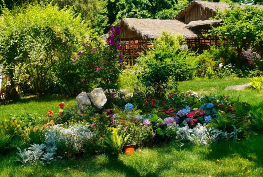 家庭养花用生根粉