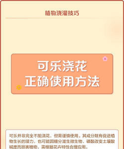 家庭养花用生根粉