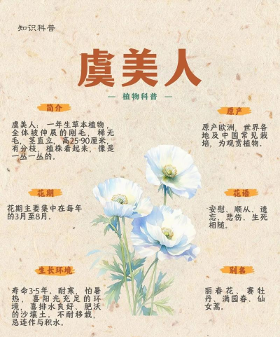 如何提取虞美人的毒素