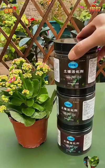 家庭养花用生根粉