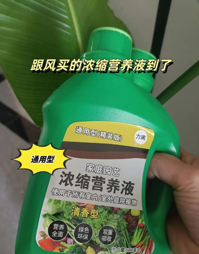 家庭养花用生根粉