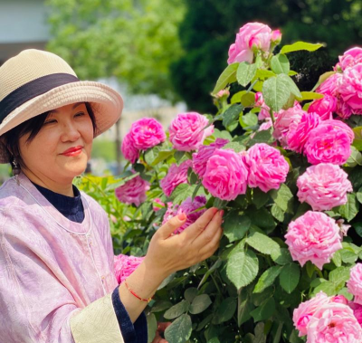 家庭养花用生根粉