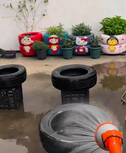 家庭养花用生根粉