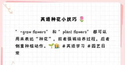 绿化景观设计，提升环境品质，创造宜人空间