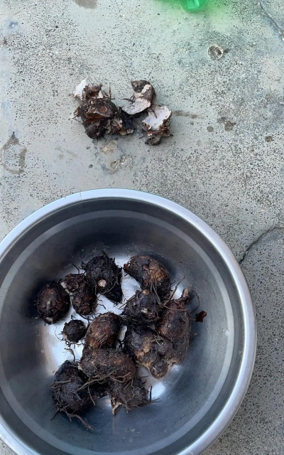 绿化景观设计，提升环境品质，创造宜人空间