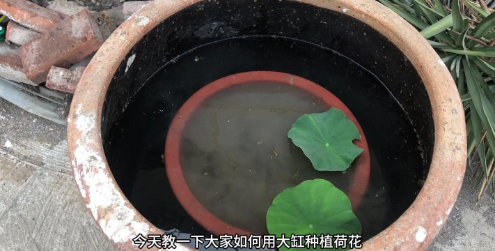 绿化景观设计，提升环境品质，创造宜人空间