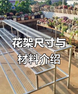 养花定型的字骨架