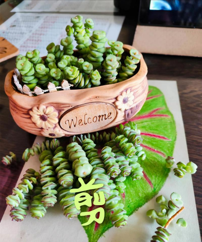 养花盘串的乐趣