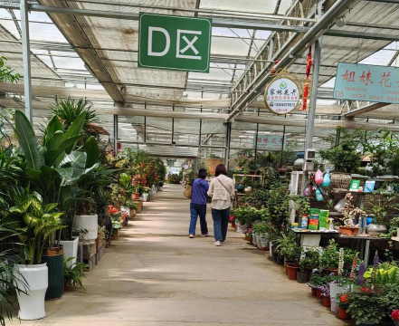 荣昌区养花场地方