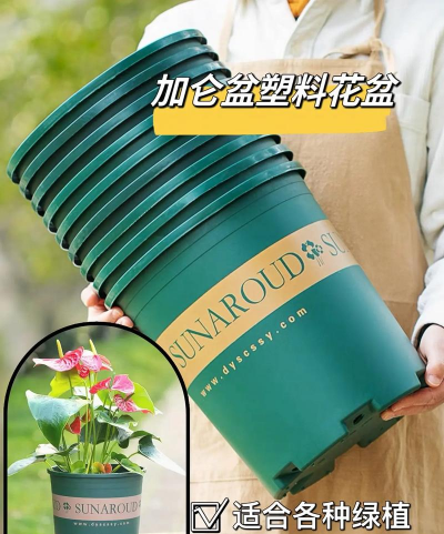 用聚乙烯树脂养花