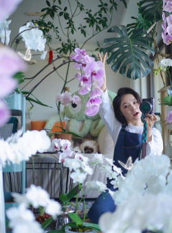 家庭养花用生根粉