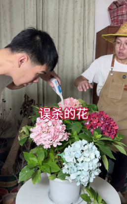 家庭养花用生根粉