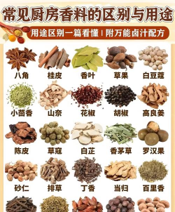 室内能种什么调料