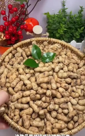 炒花生壳  养花