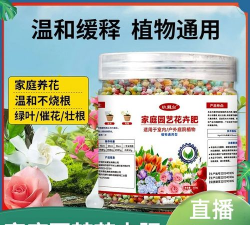 家庭养花用生根粉