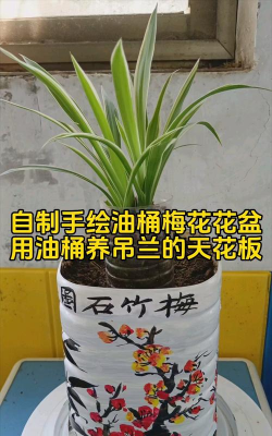 油桶怎么样养花