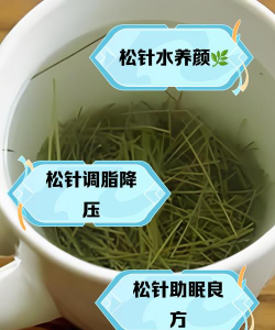 绿化景观设计，提升环境品质，创造宜人空间