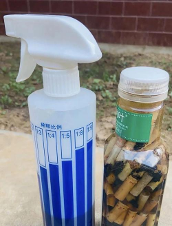 自制养花肥杀菌杀虫