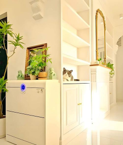 别墅园林绿化设计，打造私密空间，提升居住品质