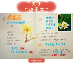 别墅园林绿化设计，打造私密空间，提升居住品质