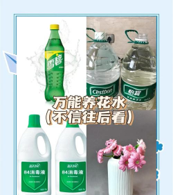 别墅园林绿化设计，打造私密空间，提升居住品质