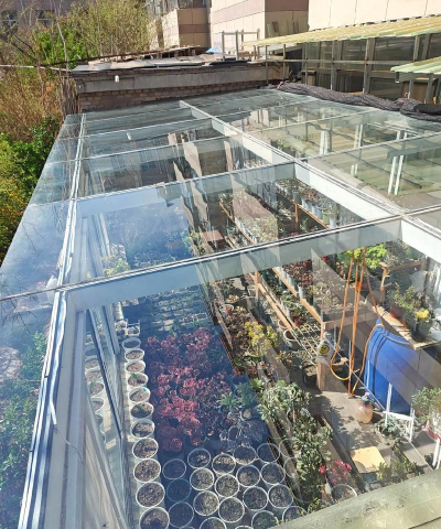 别墅园林绿化设计，打造私密空间，提升居住品质