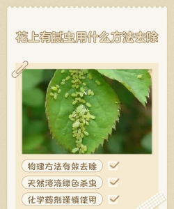 绿化景观设计，提升环境品质，创造宜人空间