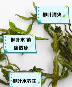 绿化景观设计，提升环境品质，创造宜人空间