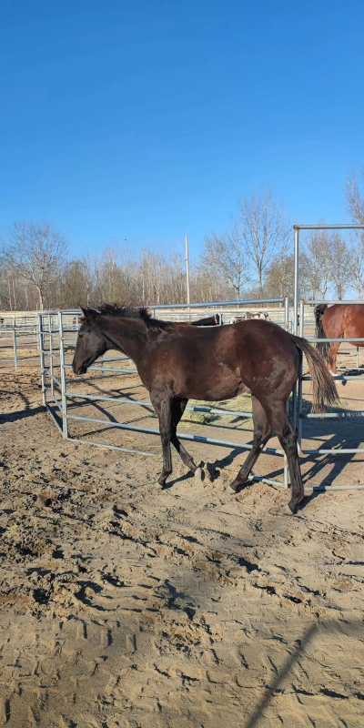 绿化景观设计，提升环境品质，创造宜人空间