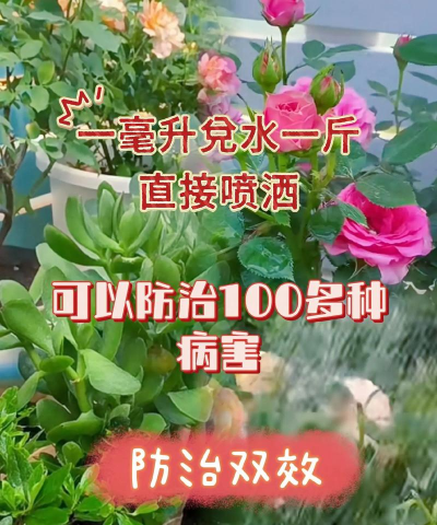 绿化景观设计，提升环境品质，创造宜人空间