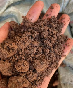 绿化景观设计，提升环境品质，创造宜人空间