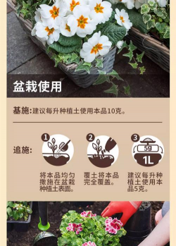 家庭养花用生根粉