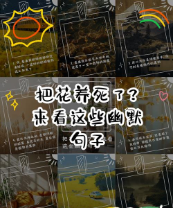 养花养黄文案搞笑