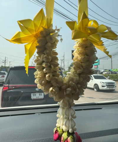 泰国喜欢养花吗现在