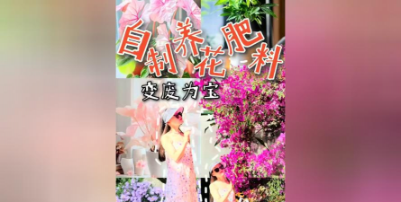 家庭养花用生根粉