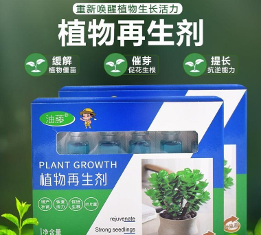 家庭养花用生根粉