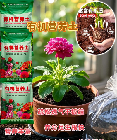 家庭养花用生根粉