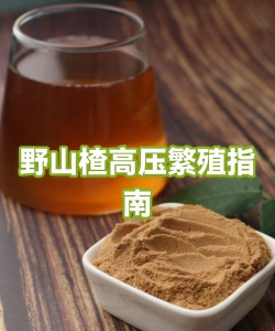 野山楂怎么繁殖