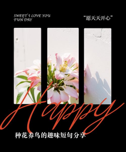 家庭养花用生根粉