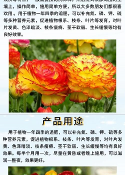 家庭养花用生根粉