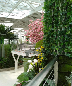 世博家园高空养花